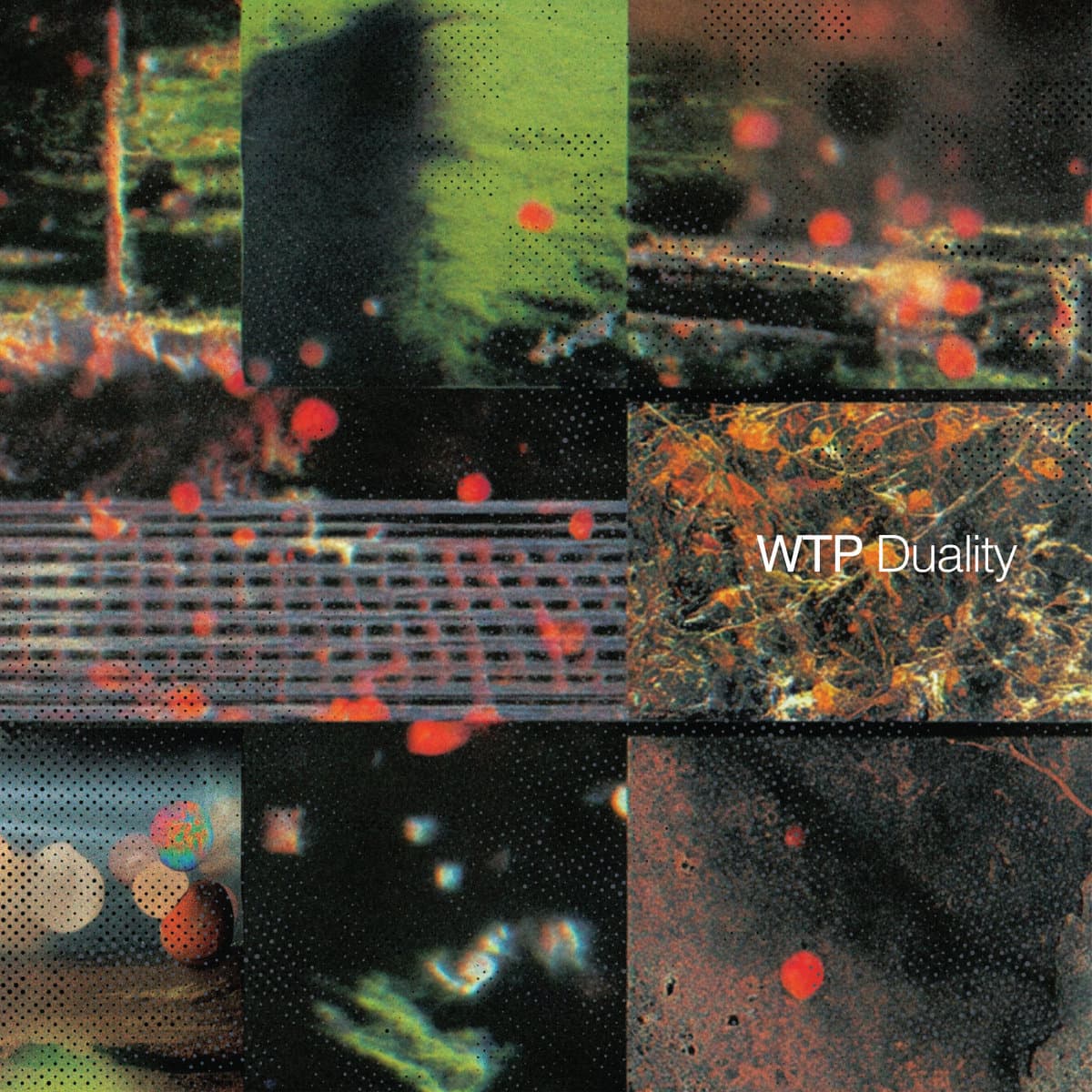 Duality LP by WTP